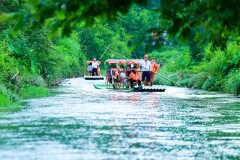 挥洒魅力夏日，畅享浏阳第十四届水果文化旅游节盛宴